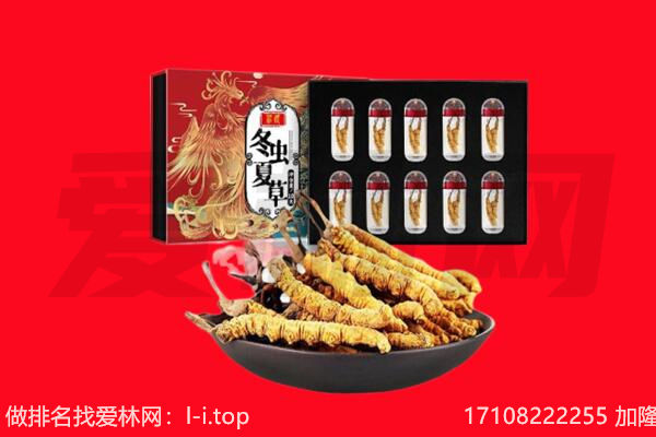 克拉玛依回收虫草.jpg